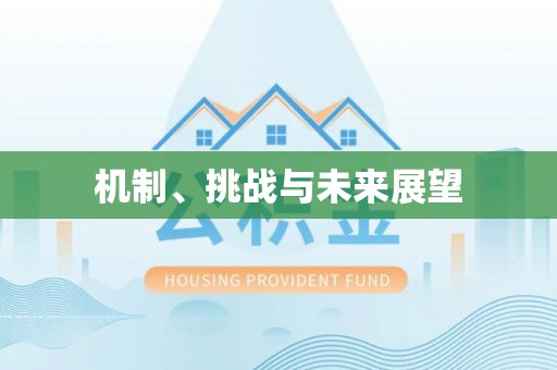 雄县机制、挑战与未来展望