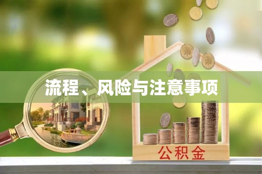 雄县流程、风险与注意事项